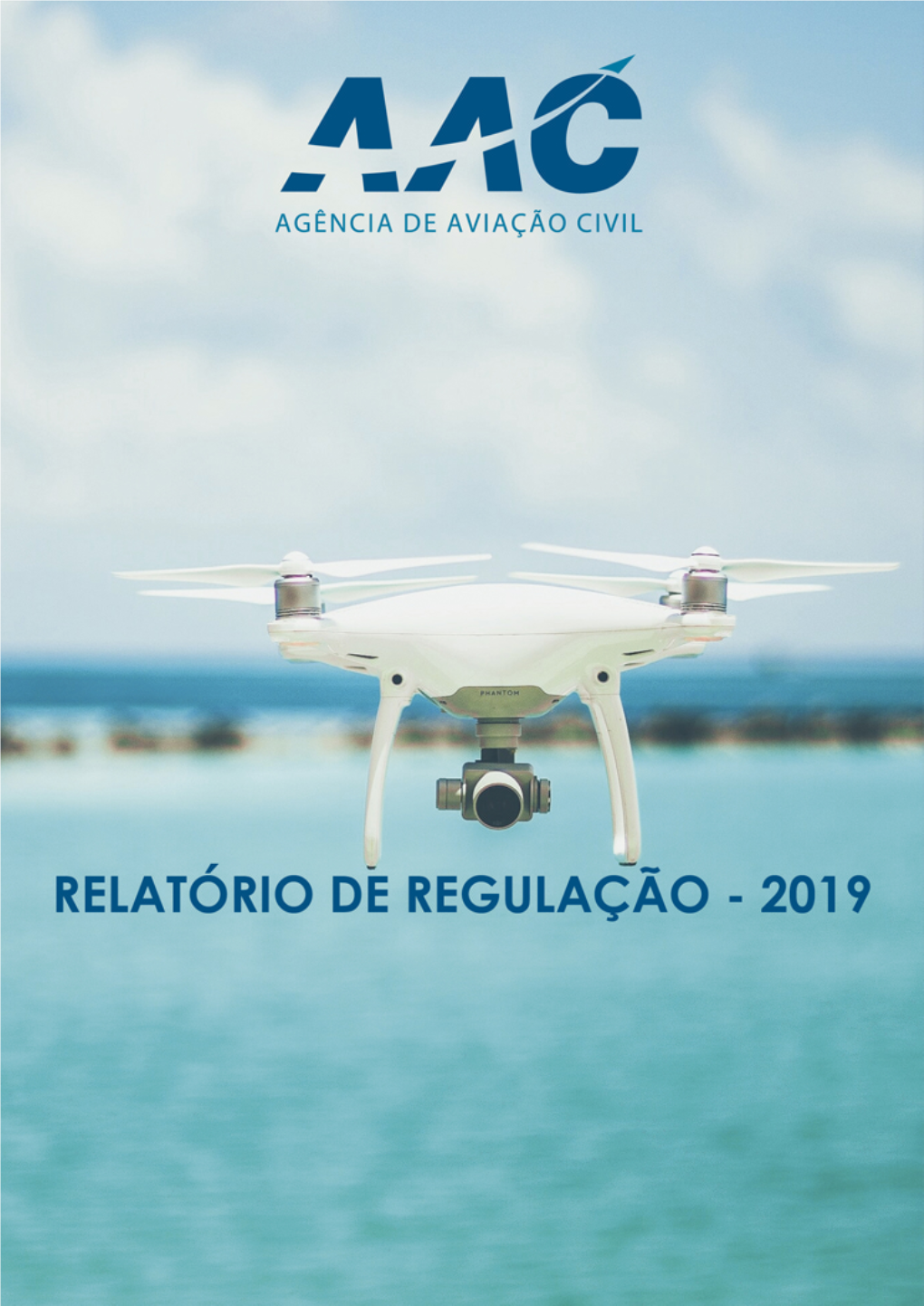 FICHA TÉCNICA Título Relatório De Regulação - 2019 Agência De Aviação Civil