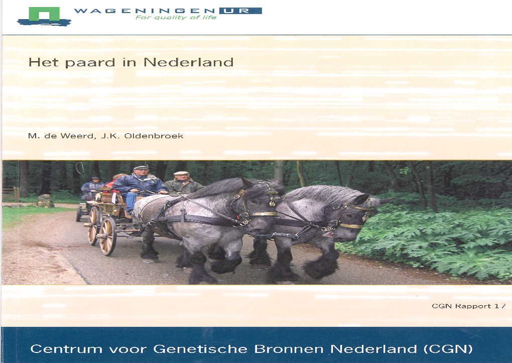 Het Paard in Nederland