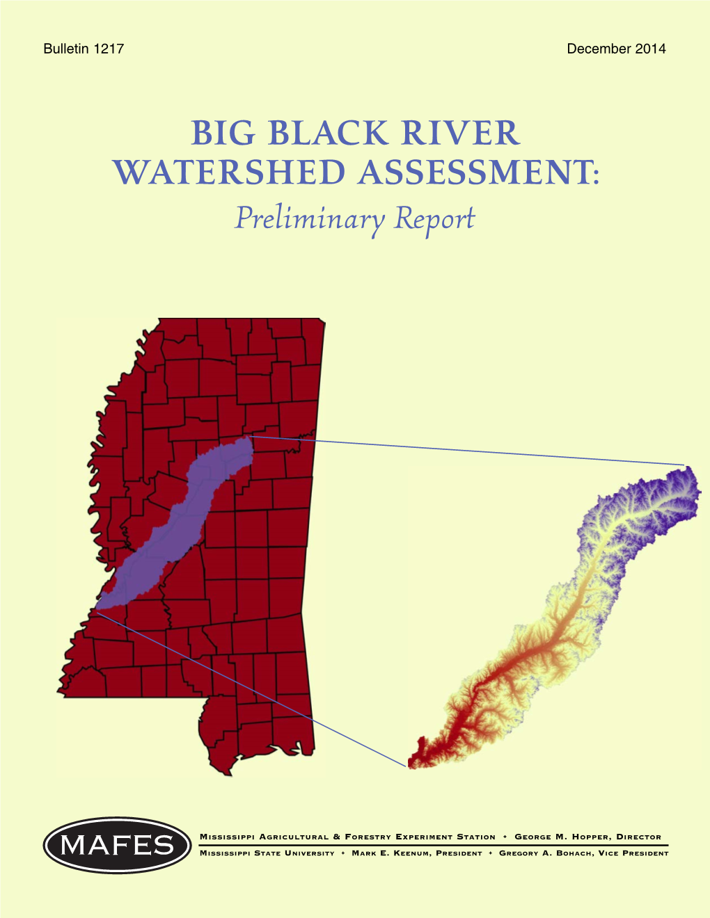 BIG BLACK RIVER WATERSHED ASSESSMENT: Preliminary Report