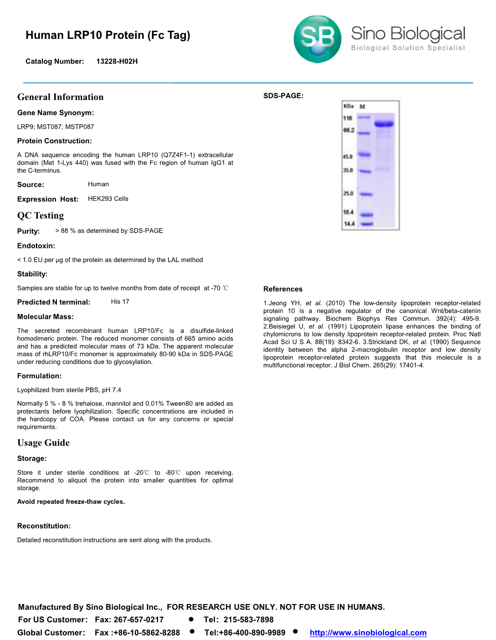 Human LRP10 Protein (Fc Tag)