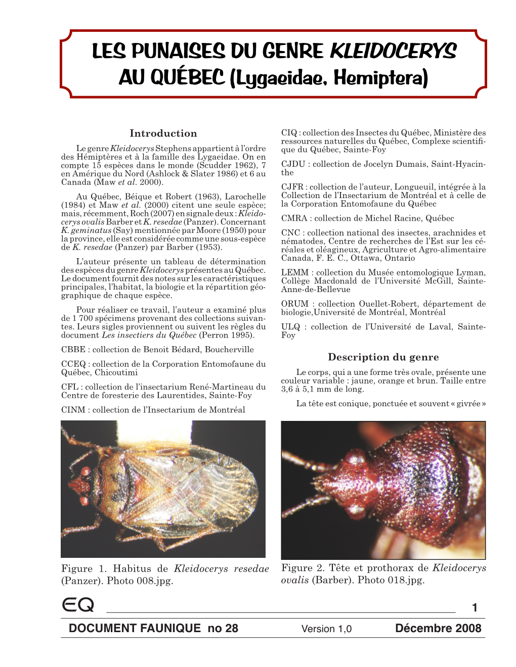 LES PUNAISES DU GENRE KLEIDOCERYS AU QUÉBEC (Lygaeidae, Hemiptera)