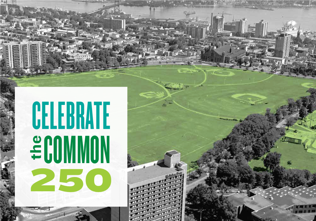 Celebrate the Common!