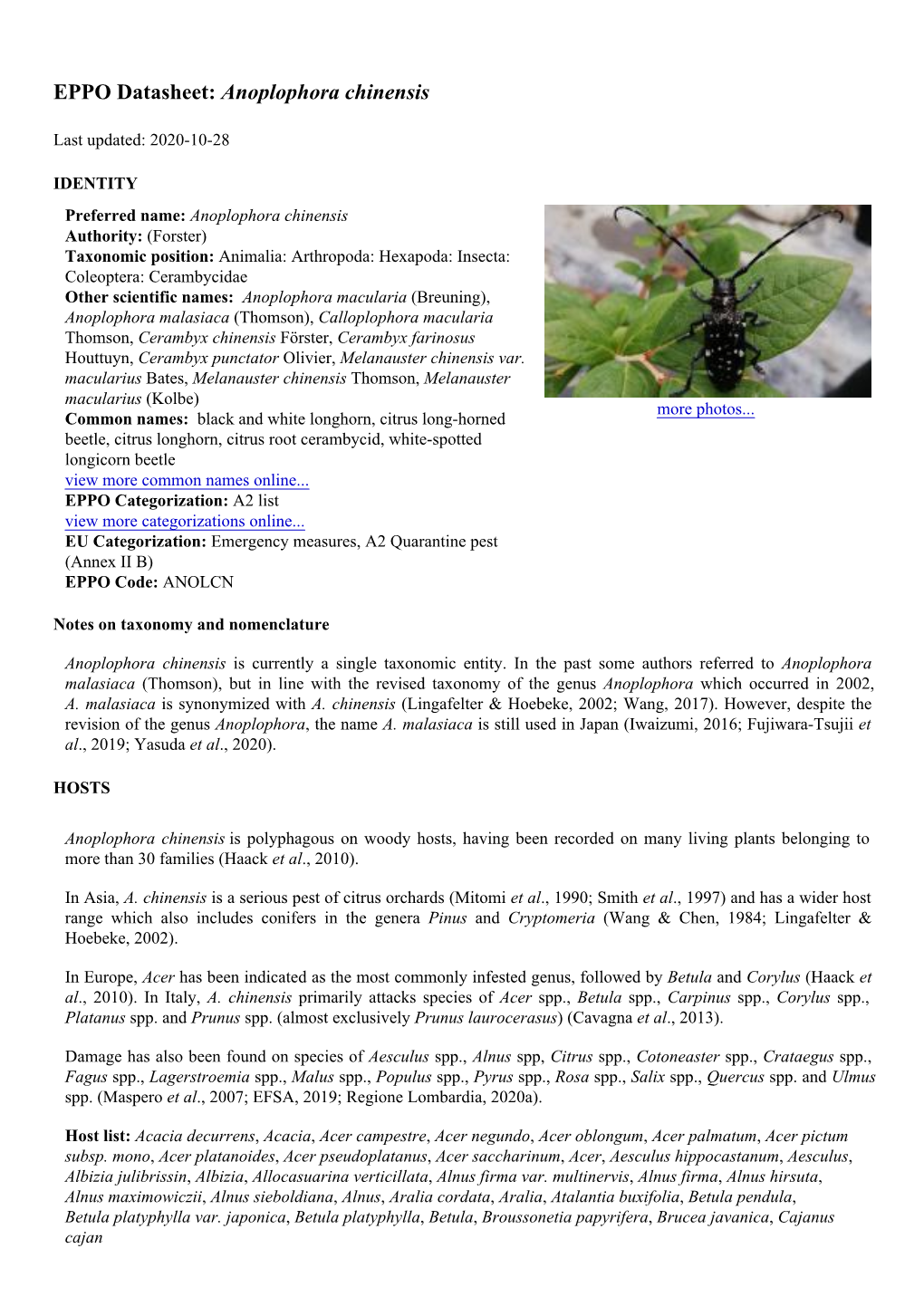 EPPO Datasheet: Anoplophora Chinensis