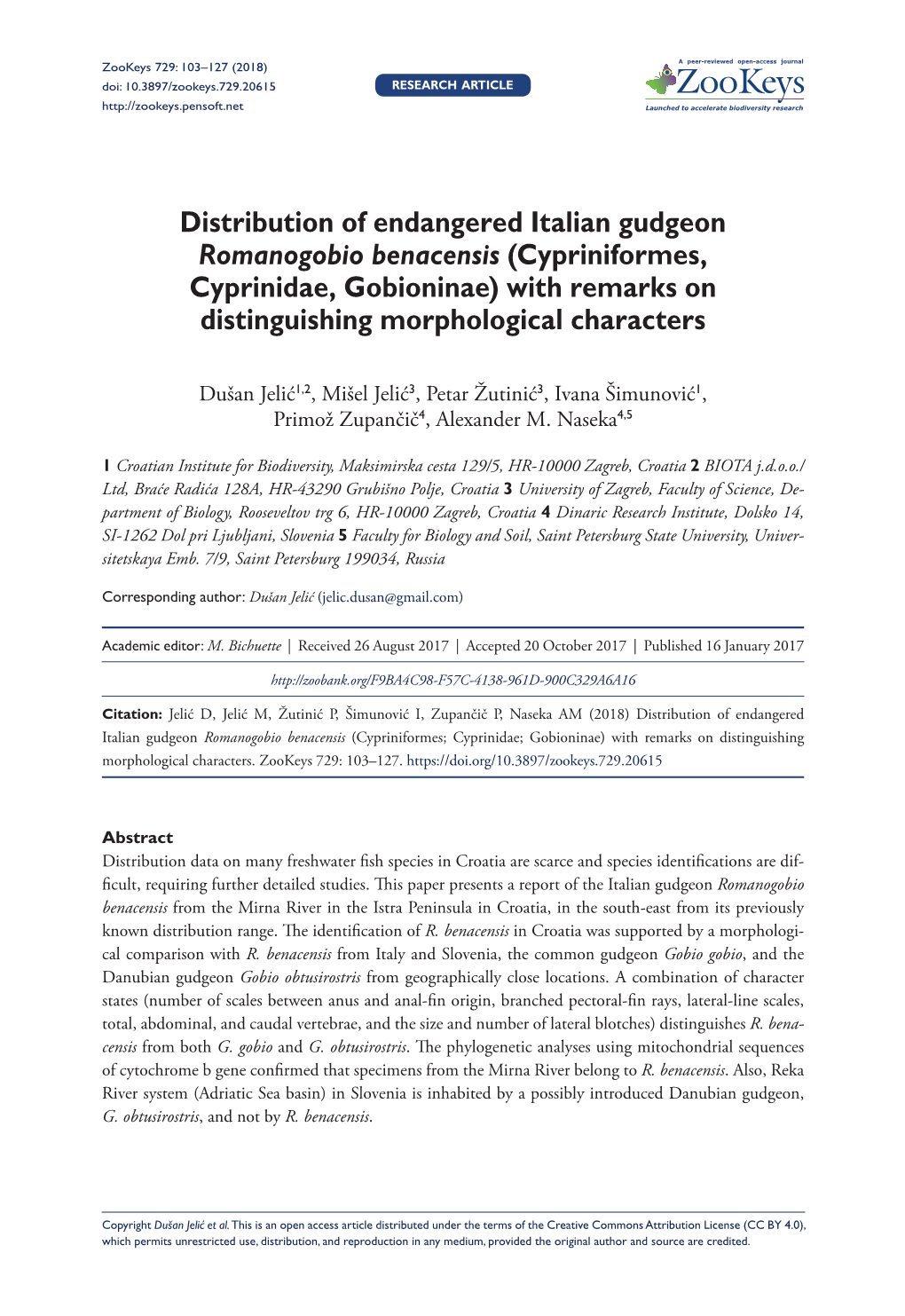 Distribution of Endangered Italian Gudgeon Romanogobio Benacensis (Cypriniformes, Cyprinidae, Gobioninae) with Remarks on Distinguishing Morphological Characters