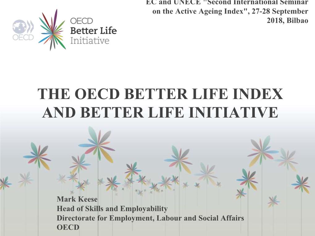 Better Life Index and Better Life Initiative