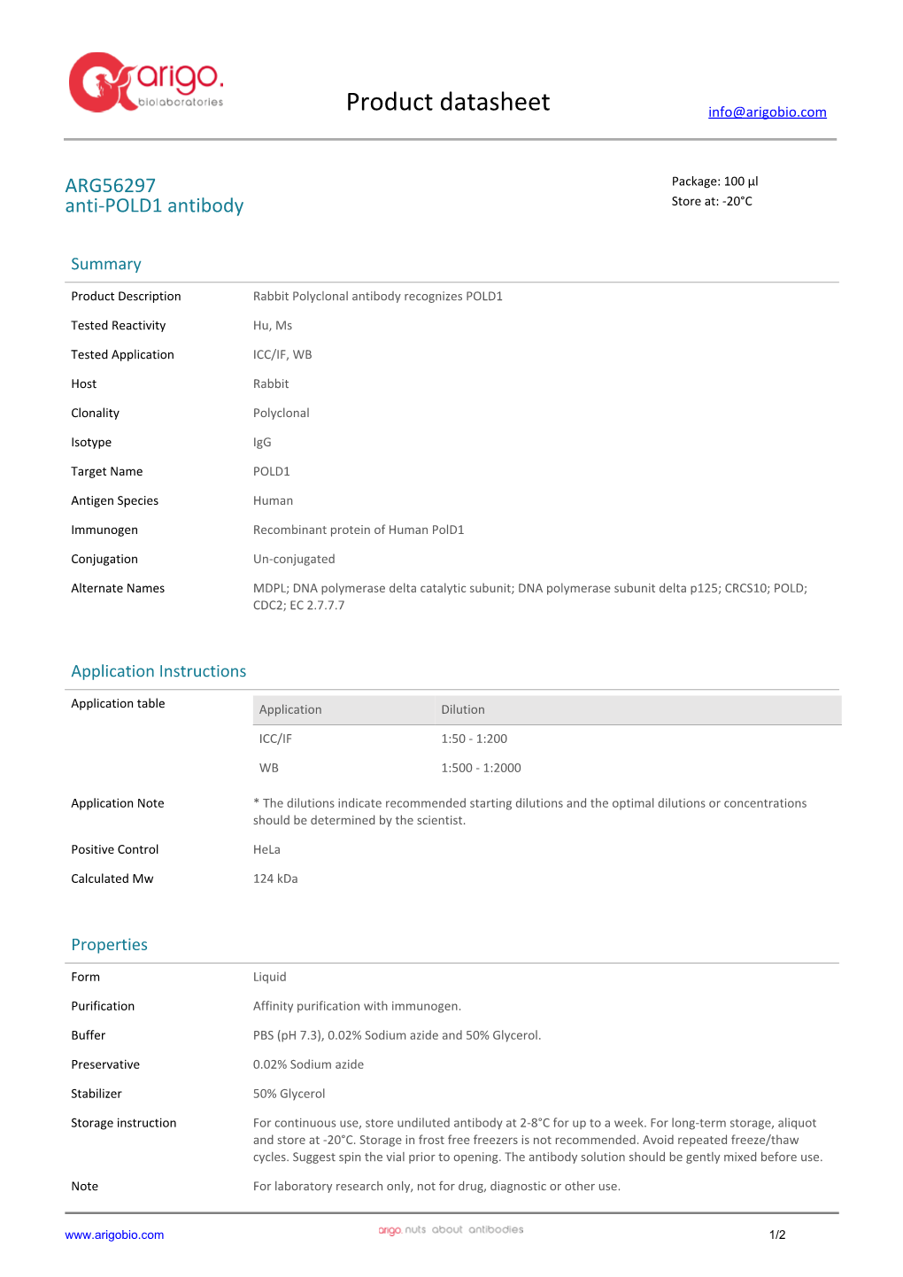 Anti-POLD1 Antibody (ARG56297)