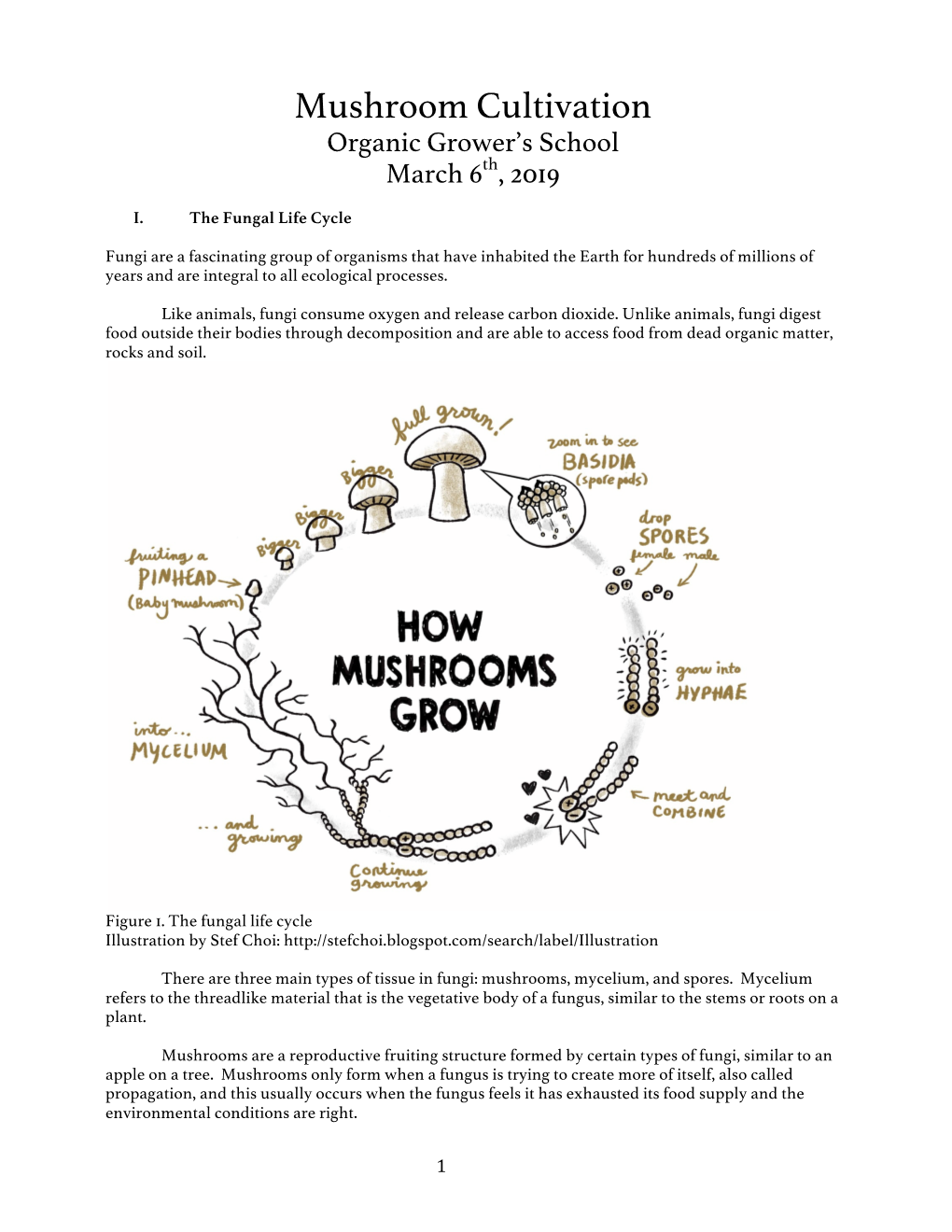 Mushroom Cultivation Organic Grower’S School March 6Th, 2019