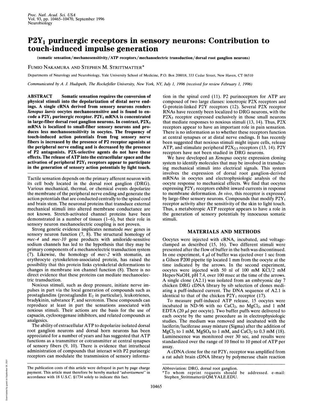 P2Y1 Purinergic Receptors in Sensory Neurons