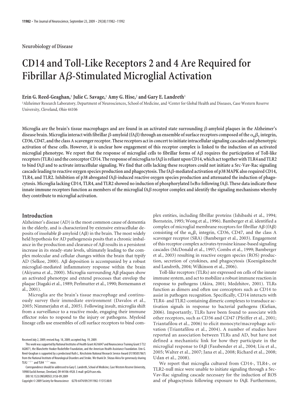 CD14 and Toll-Like Receptors 2 and 4 Are Required for Fibrillar Aß