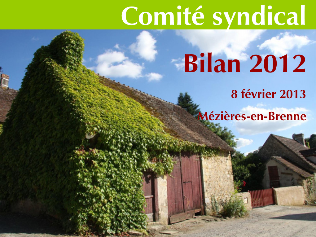 Bilan 2012 8 Février 2013 Mézières-En-Brenne