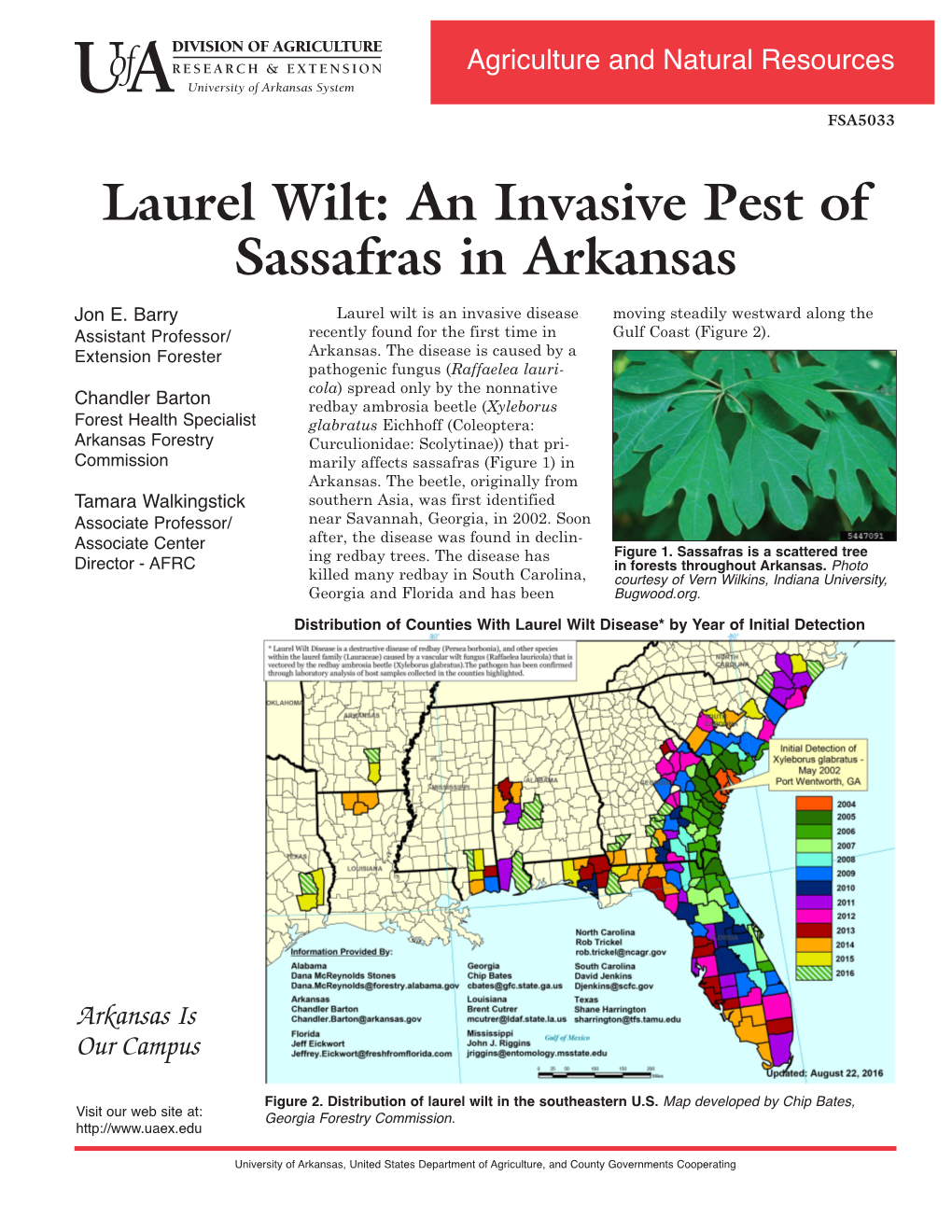 Laurel Wilt: an Invasive Pest of Sassafras in Arkansas FSA5033