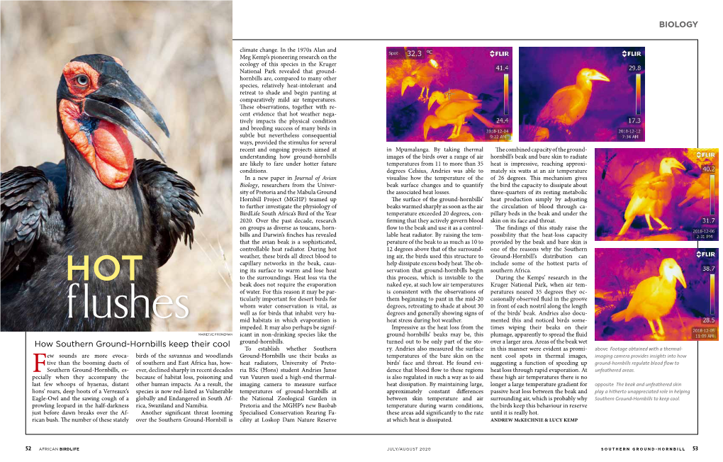 Biology How Southern Ground-Hornbills Keep Their Cool