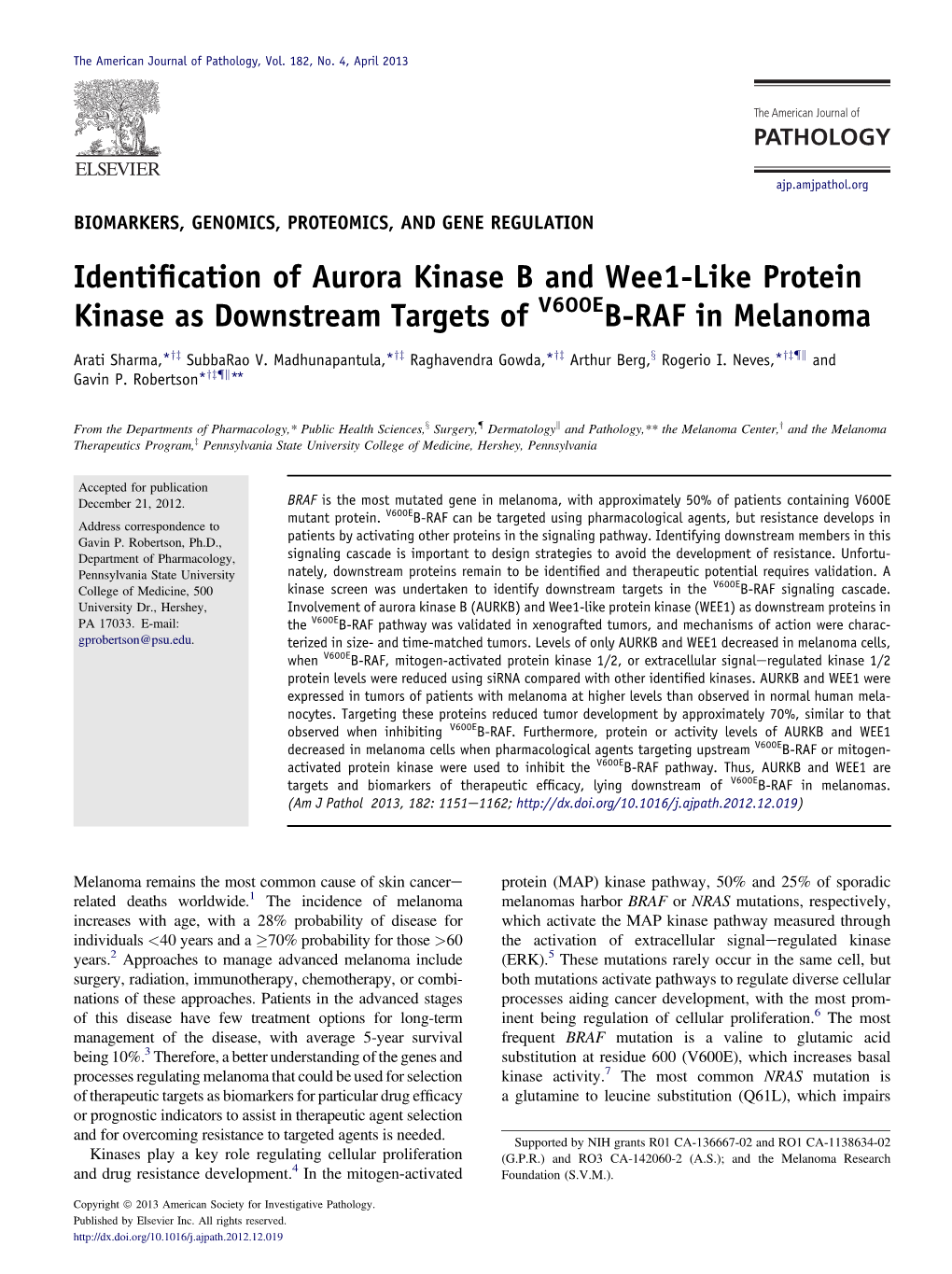 Identification of Aurora Kinase B and Wee1-Like Protein Kinase As