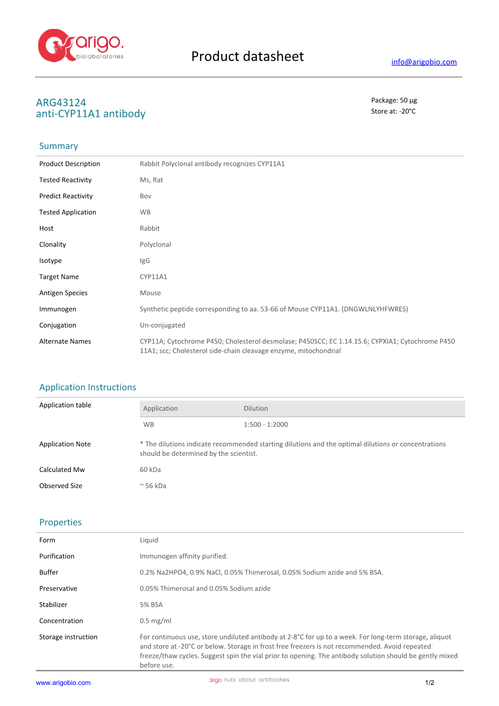 Anti-CYP11A1 Antibody (ARG43124)