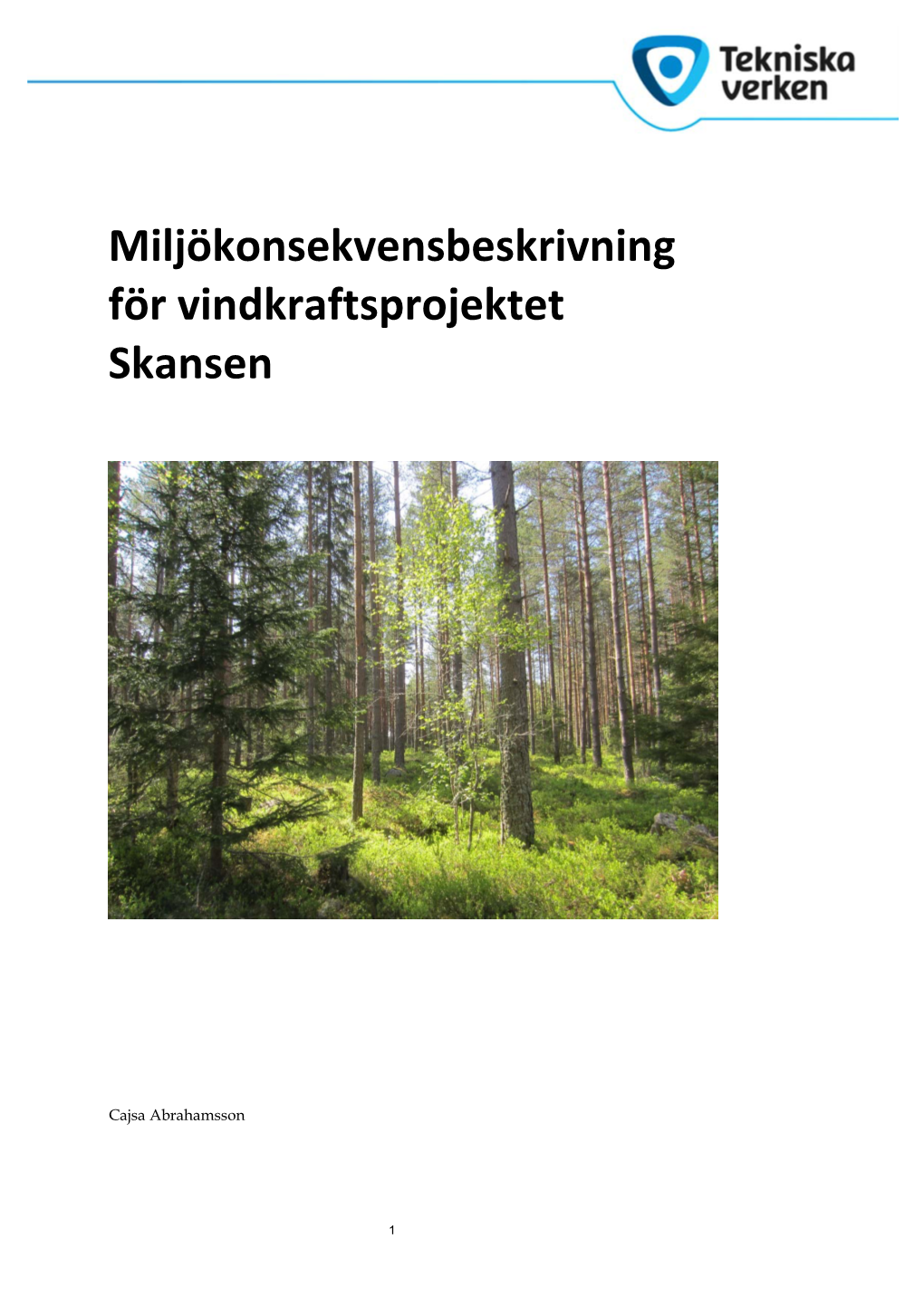 Miljökonsekvensbeskrivning För Vindkraftsprojektet Skansen