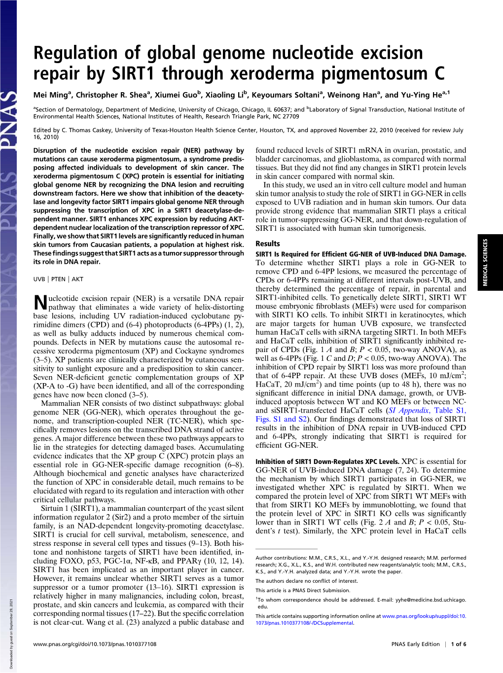 Regulation of Global Genome Nucleotide Excision Repair by SIRT1 Through Xeroderma Pigmentosum C