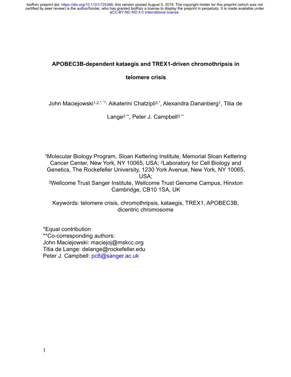 APOBEC3B-Dependent Kataegis and TREX1-Driven Chromothripsis In