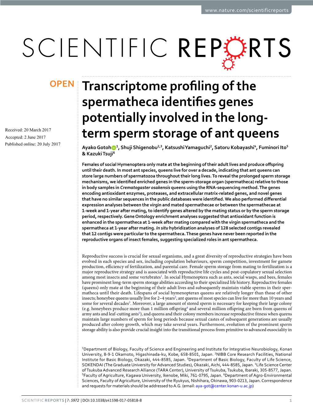 Transcriptome Profiling of the Spermatheca Identifies Genes Potentially Involved in the Long-Term Sperm Storage of Ant Queens