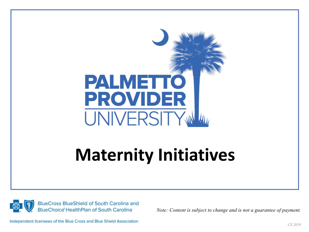 Maternity Initiatives