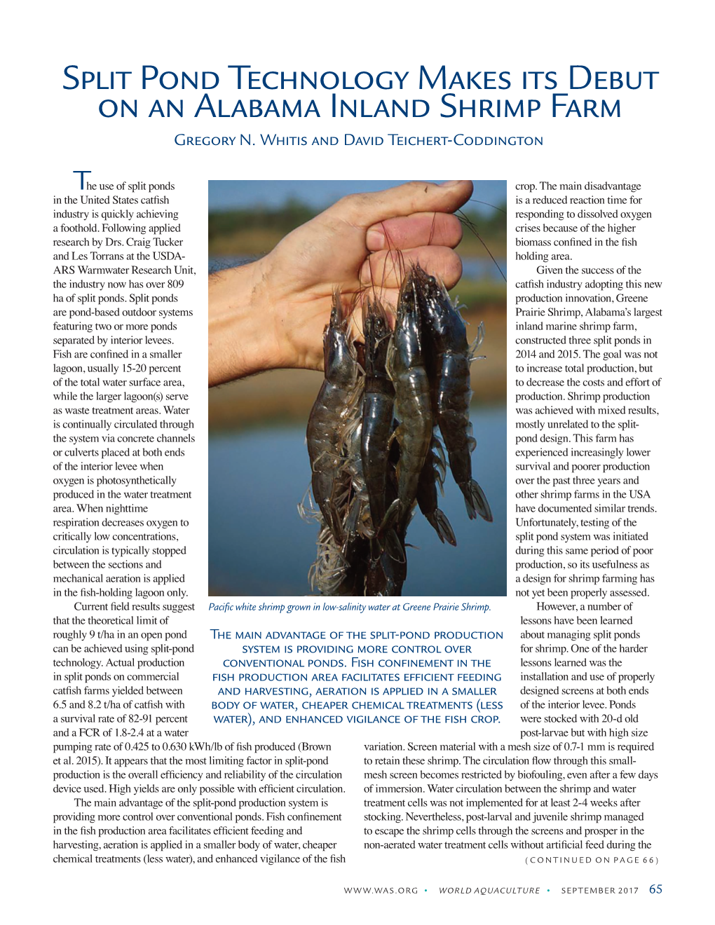 Split Pond Technology Makes Its Debut on an Alabama Inland Shrimp Farm Gregory N