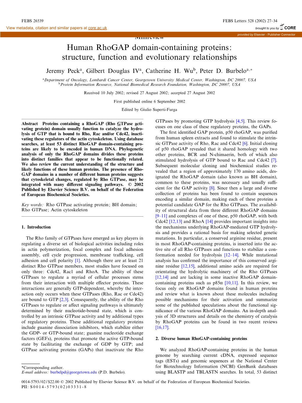 Human Rhogap Domain-Containing Proteins: Structure, Function and Evolutionary Relationships