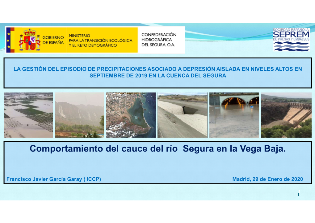 Comportamiento Del Cauce Del Río Segura En La Vega Baja. Javier García Garay