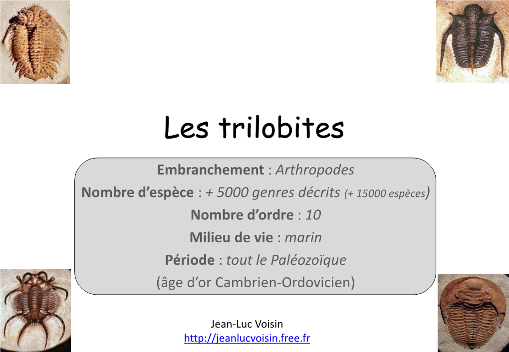 Les Trilobites