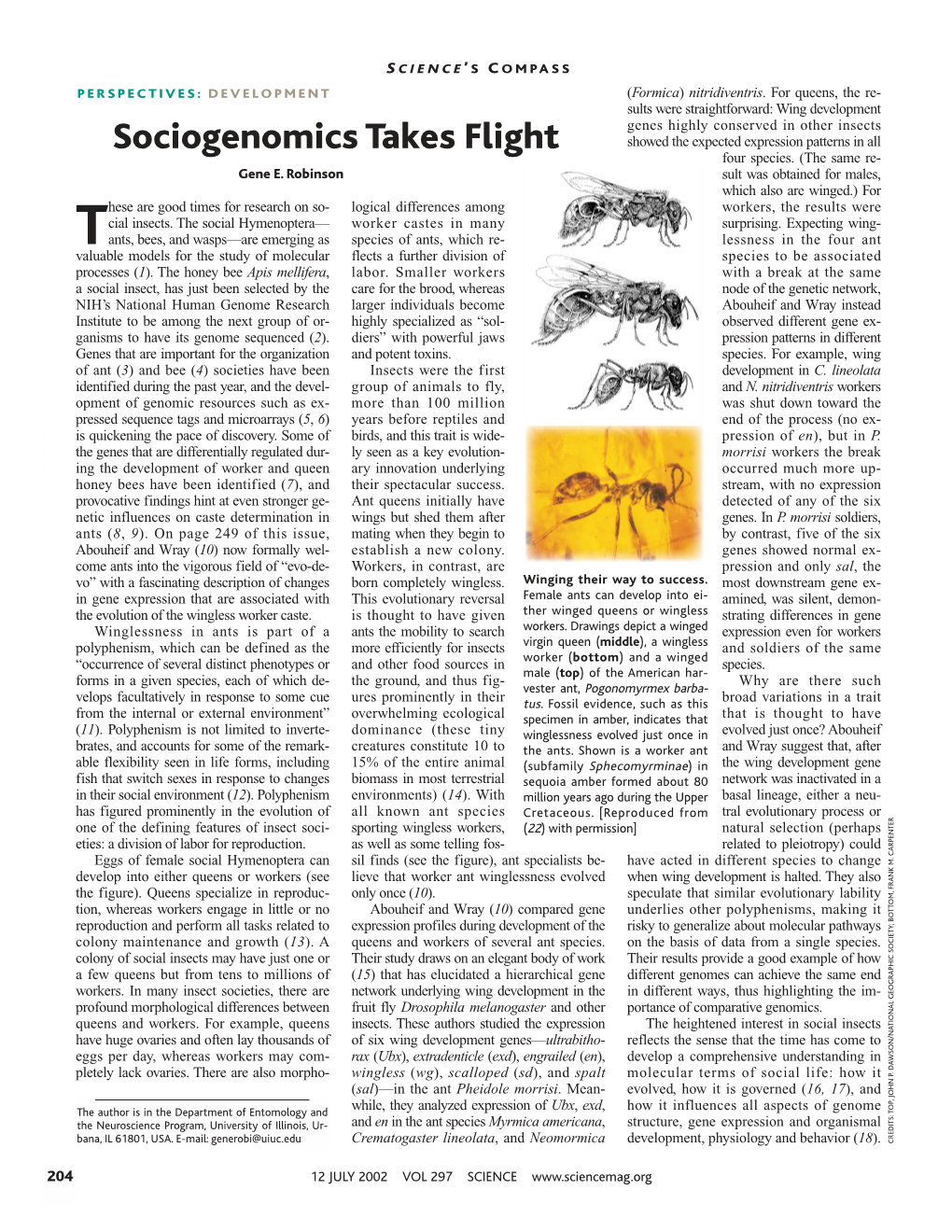 Sociogenomics Takes Flight Showed the Expected Expression Patterns in All 61 Four Species