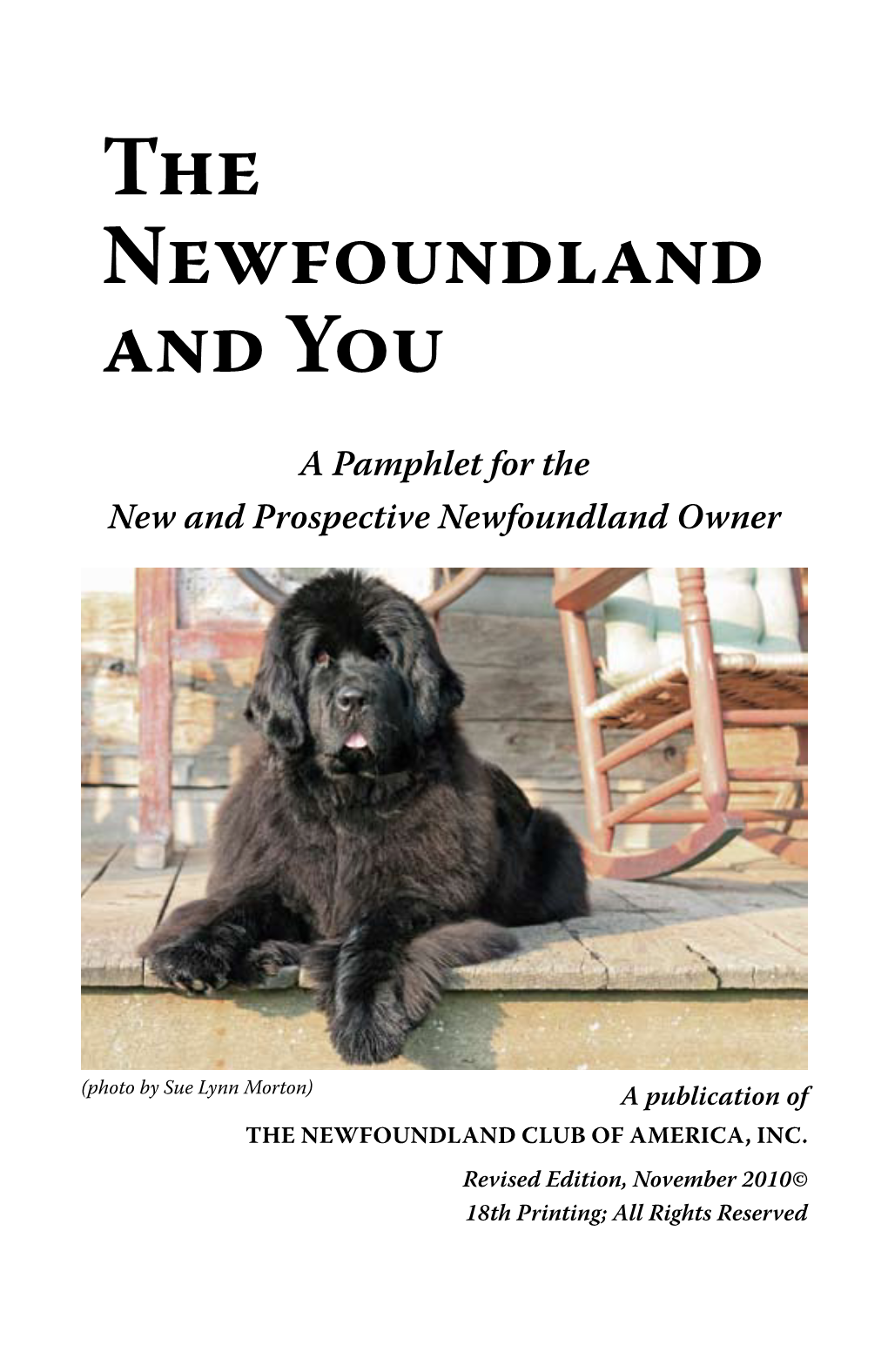 The Newfoundland and You