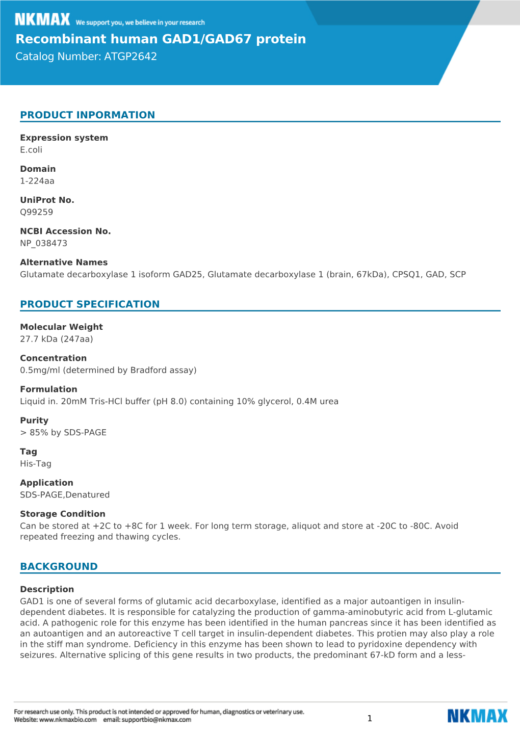 Recombinant Human GAD1/GAD67 Protein Catalog Number: ATGP2642