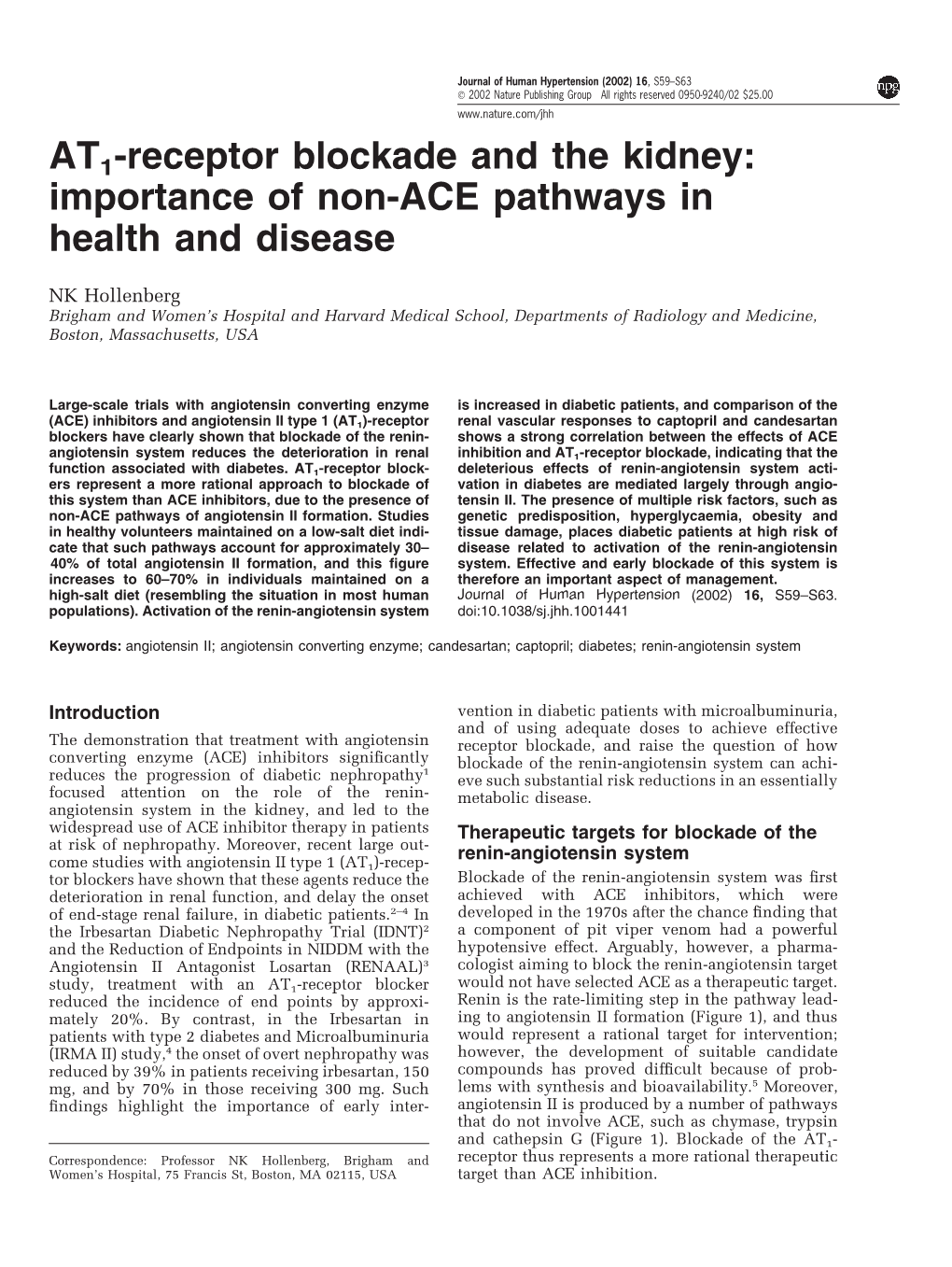 AT1-Receptor Blockade and the Kidney: Importance of Non-ACE Pathways in Health and Disease