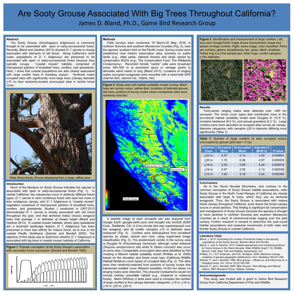 James D. Bland, Ph.D., Game Bird Research Group