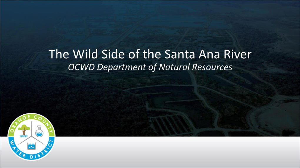 The Wild Side of the Santa Ana River OCWD Department of Natural Resources Outline