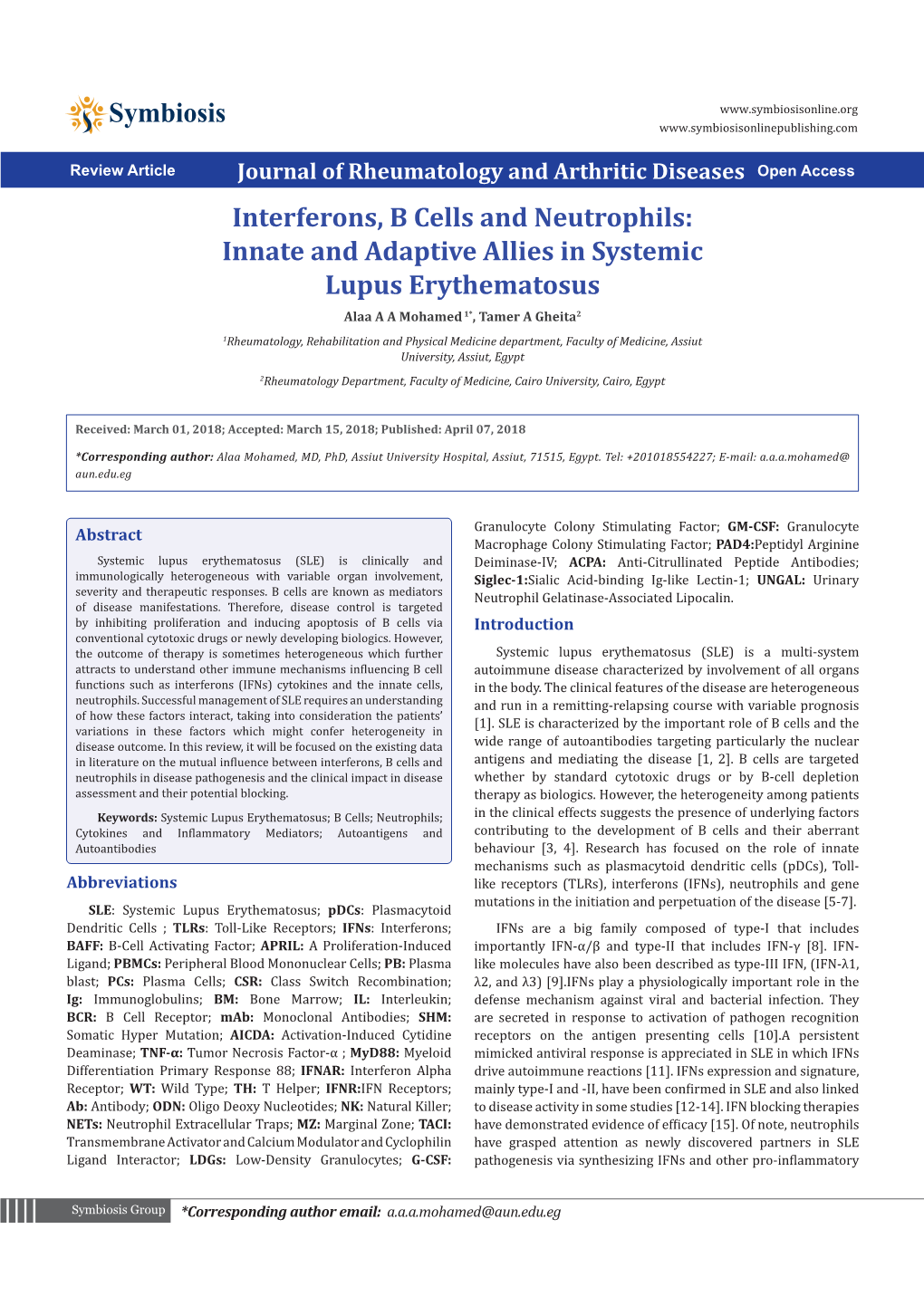 Interferons, B Cells and Neutrophils: Innate and Adaptive Allies in Systemic Lupus Erythematosus