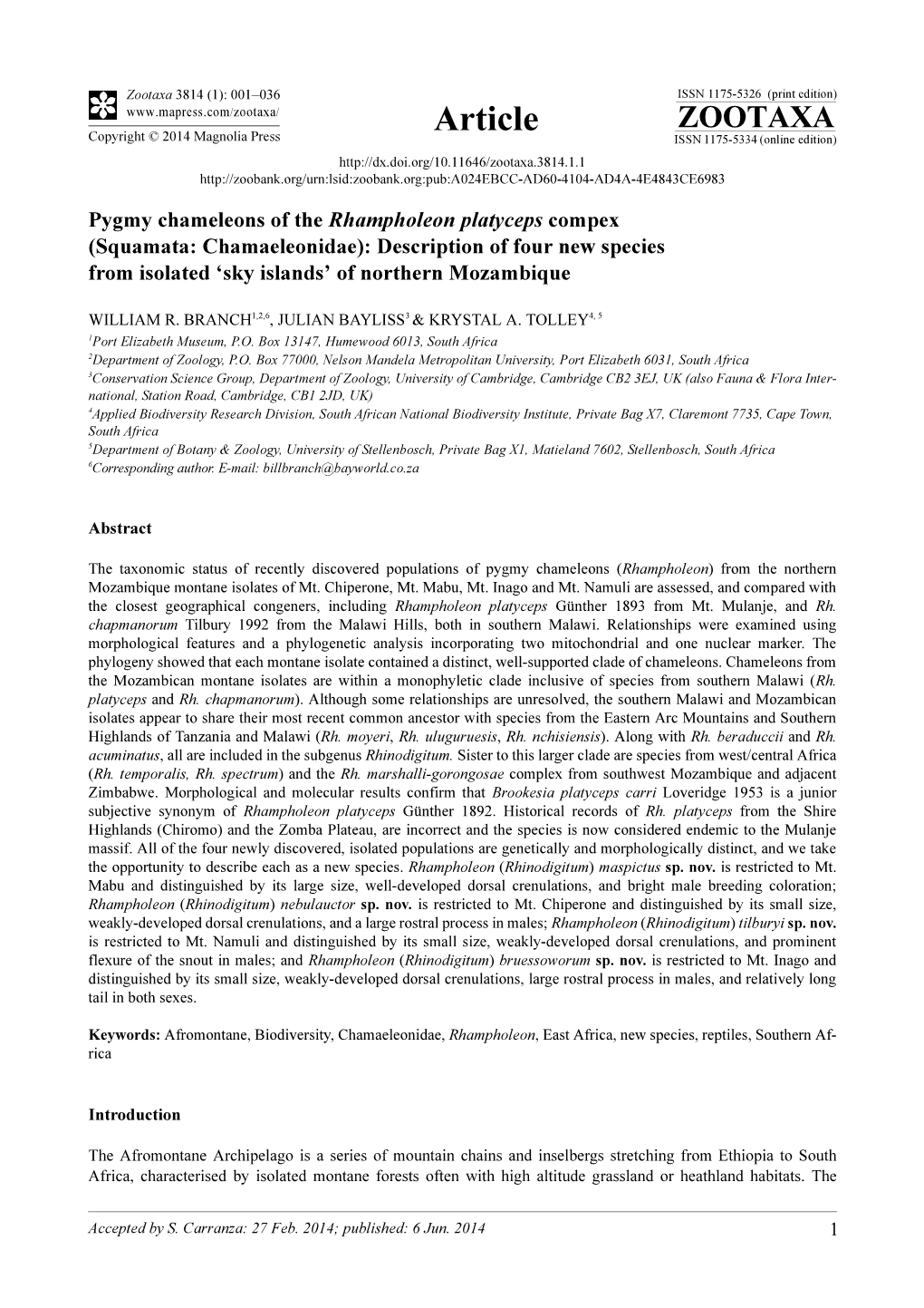 Pygmy Chameleons of the Rhampholeon Platyceps Compex (Squamata: Chamaeleonidae): Description of Four New Species from Isolated ‘Sky Islands’ of Northern Mozambique