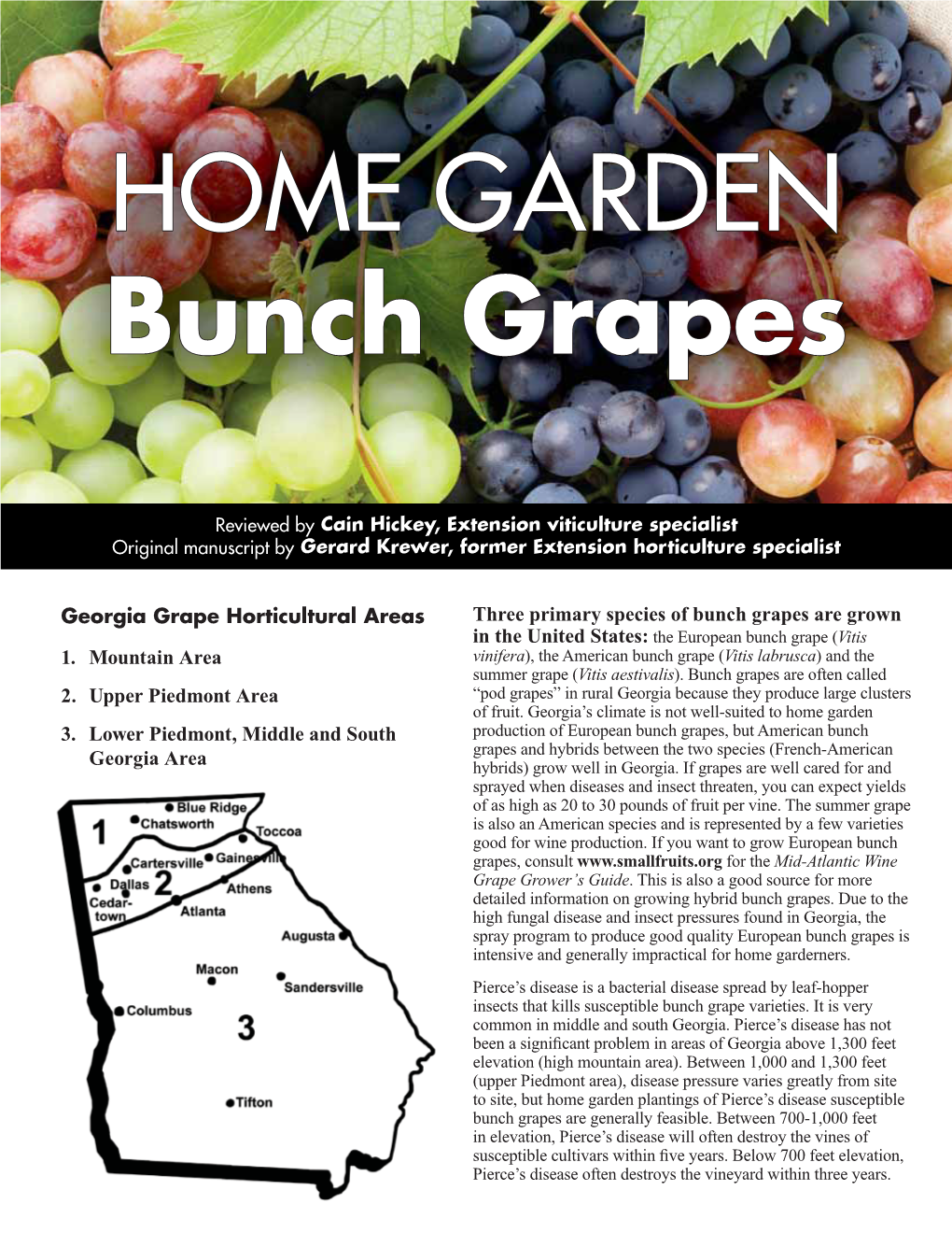 HOME GARDEN Bunch Grapes