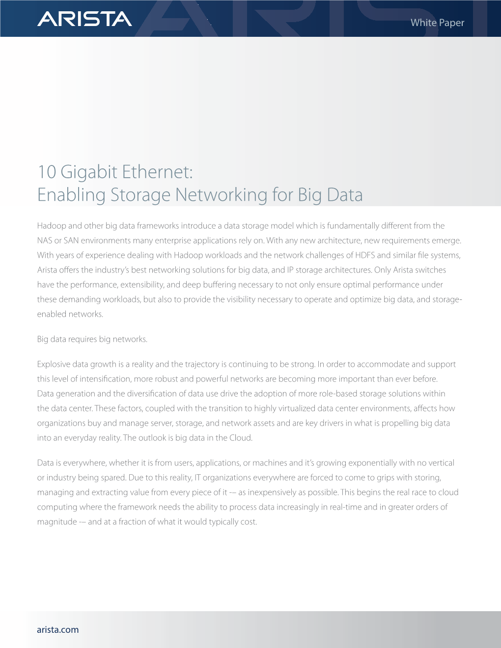 10 Gigabit Ethernet: Enabling Storage Networking for Big Data