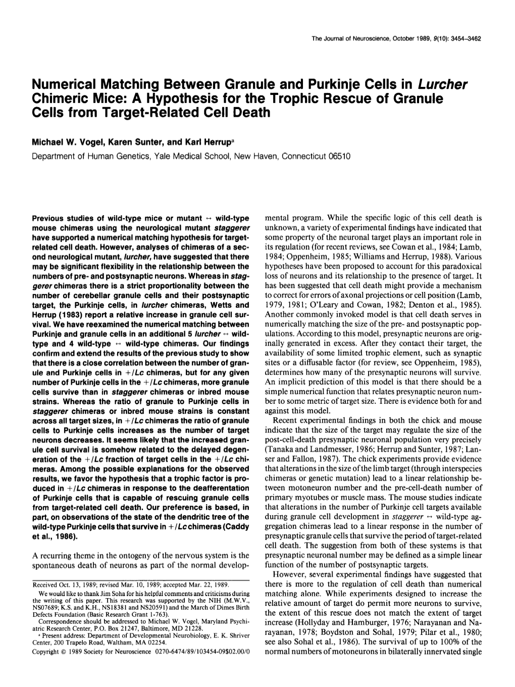 Numerical Matching Between Granule and Purkinje Cells in Luncher Chimeric Mice: a Hypothesis for the Trophic Rescue of Granule Cells from Target-Related Cell Death