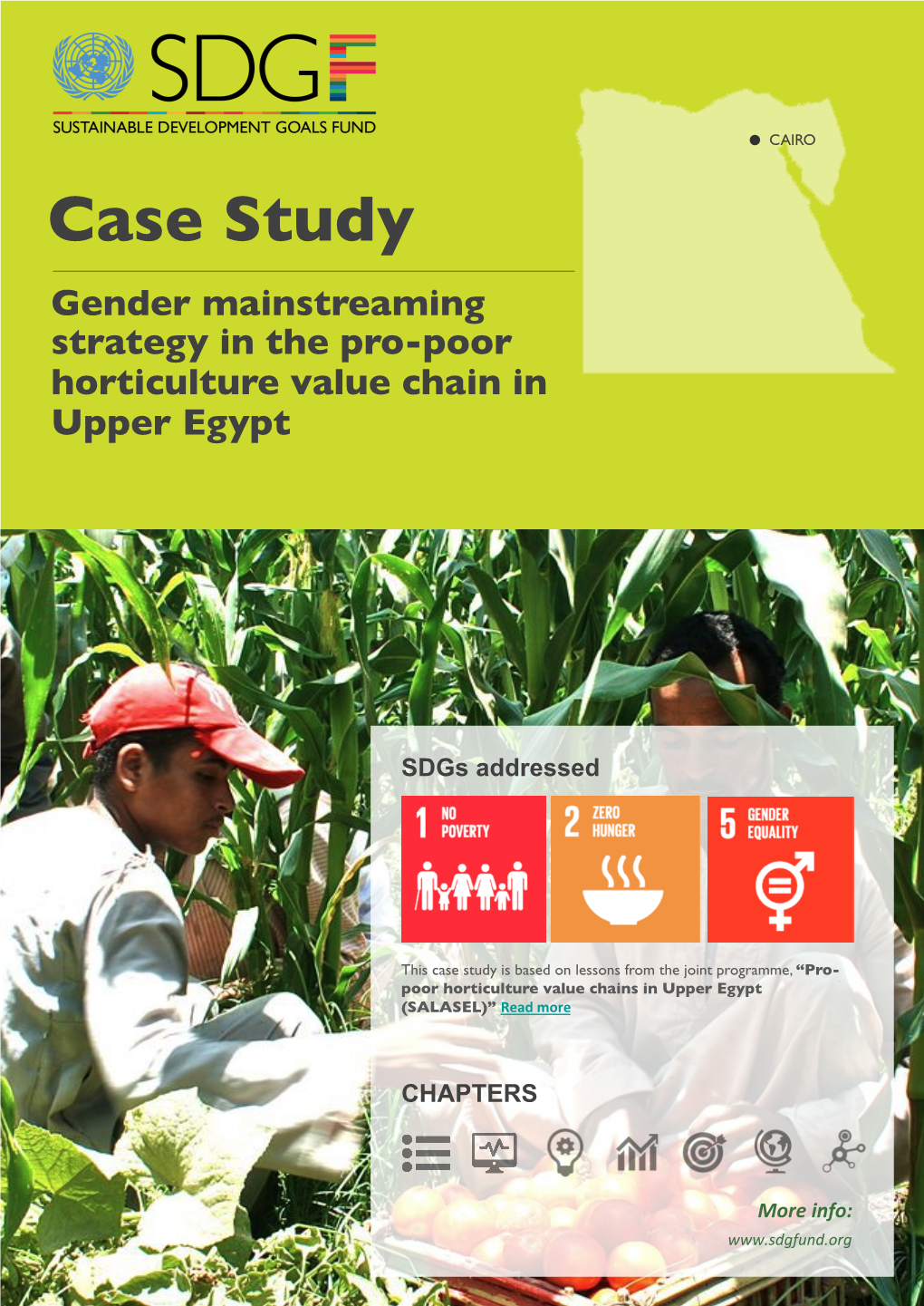 Case Study Gender Mainstreaming Strategy in the Pro-Poor Horticulture Value Chain in Upper Egypt