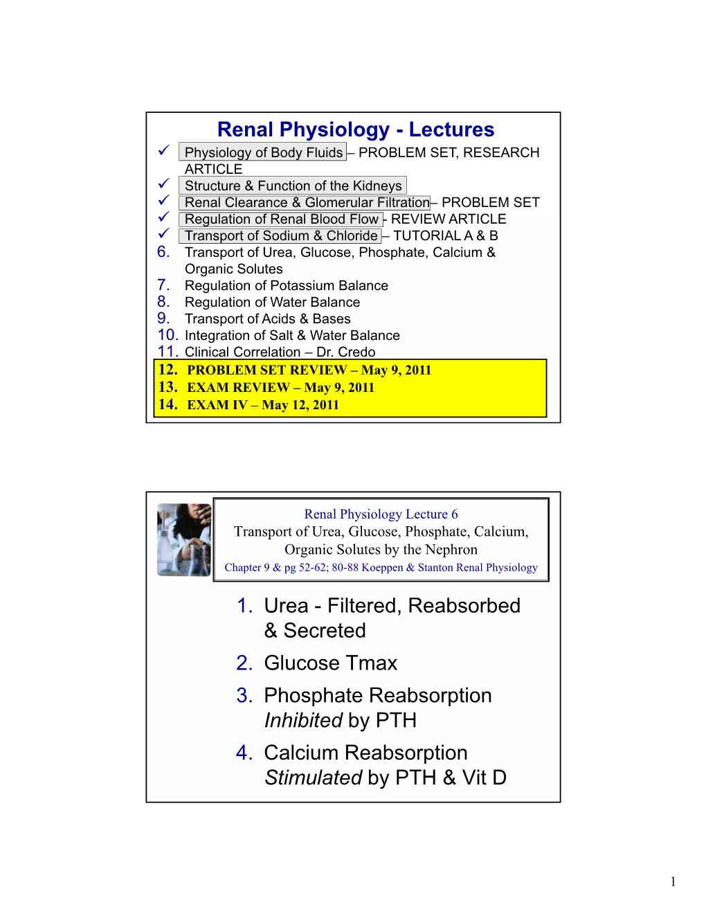 Renal Physiology