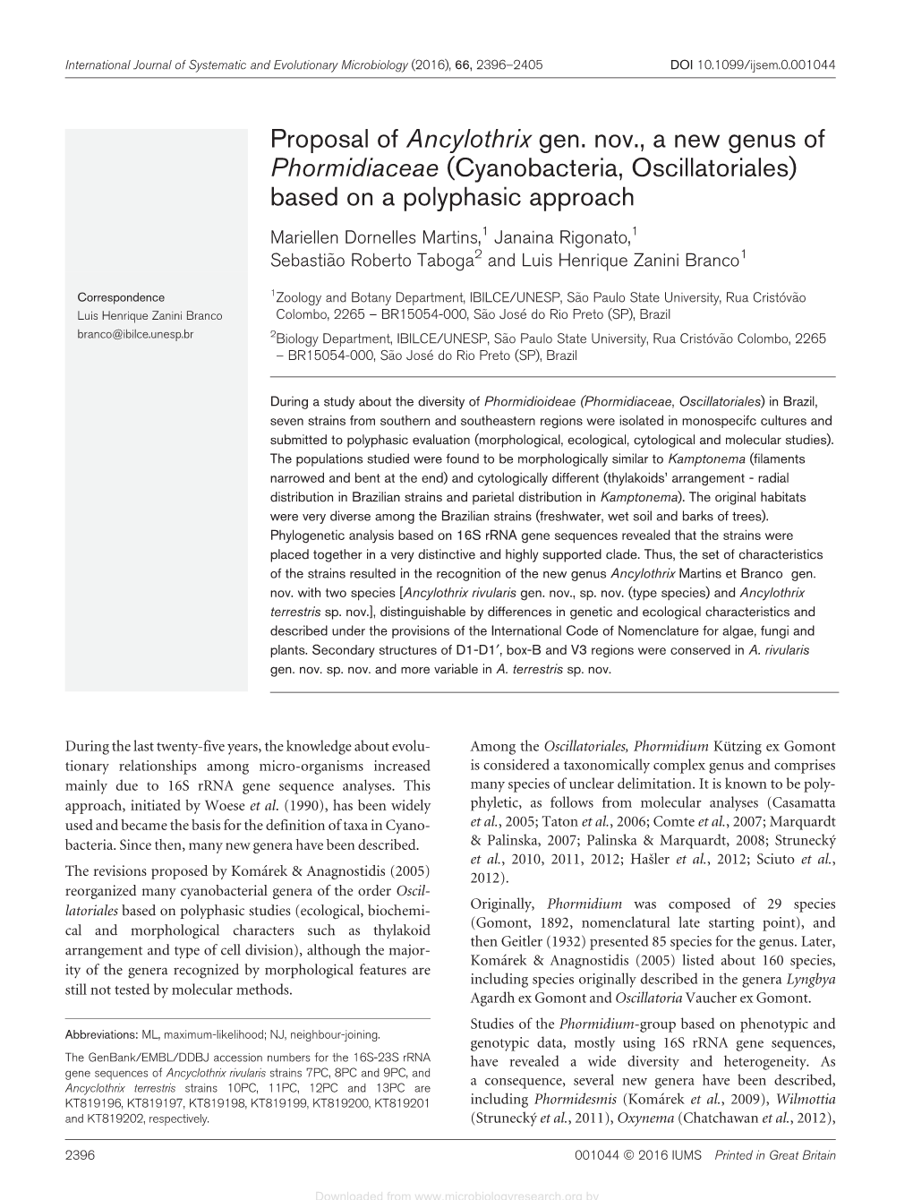 Cyanobacteria, Oscillatoriales