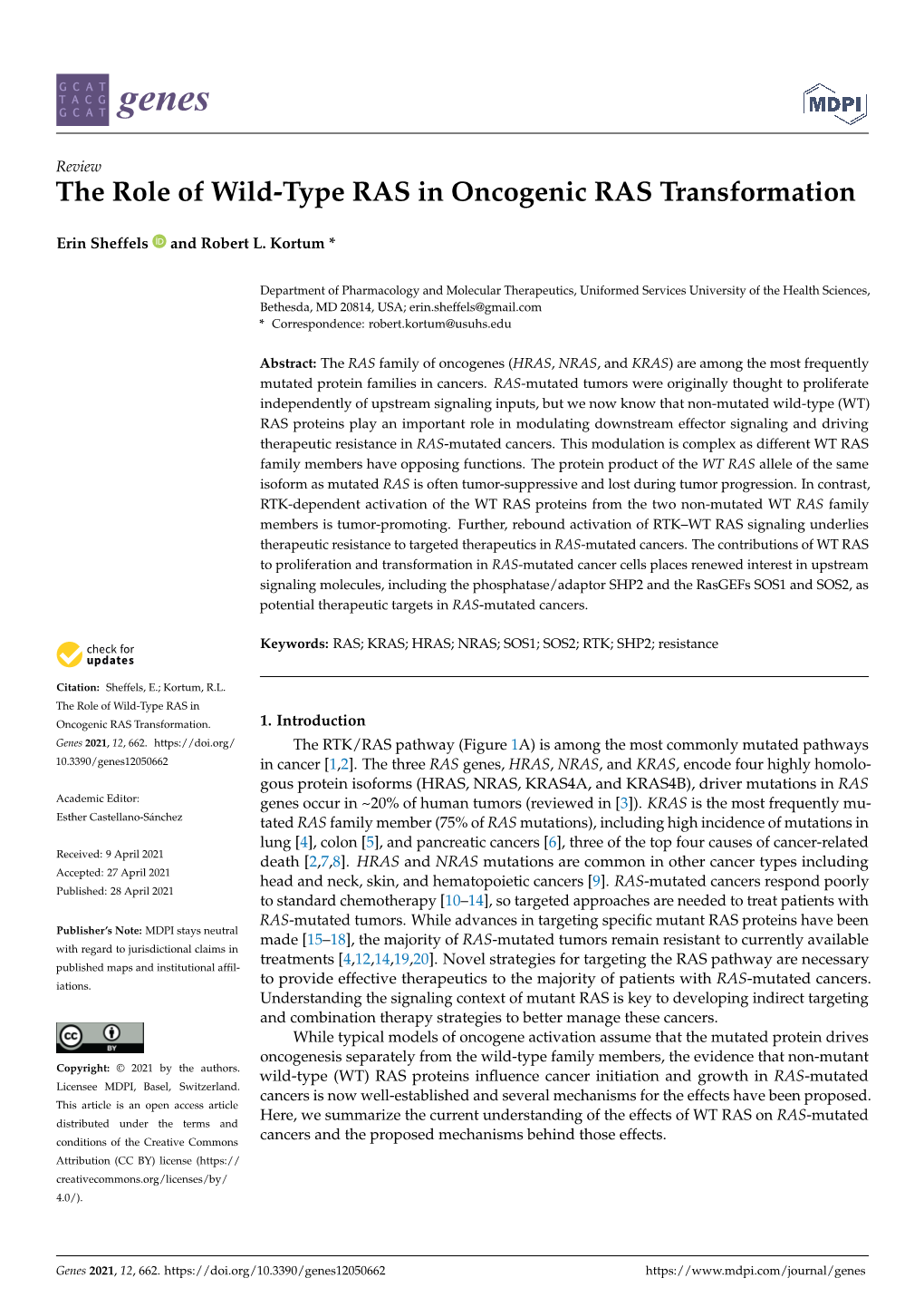 The Role of Wild-Type RAS in Oncogenic RAS Transformation