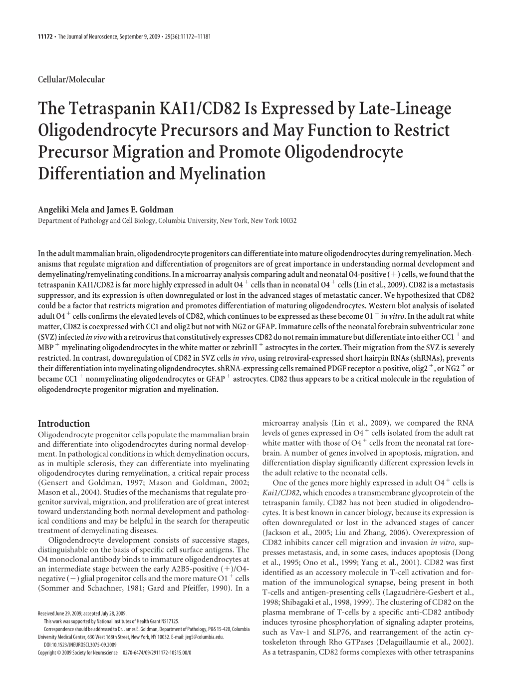 The Tetraspanin KAI1/CD82 Is Expressed by Late-Lineage