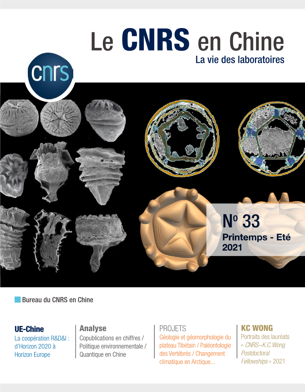 Le CNRS En Chine La Vie Des Laboratoires