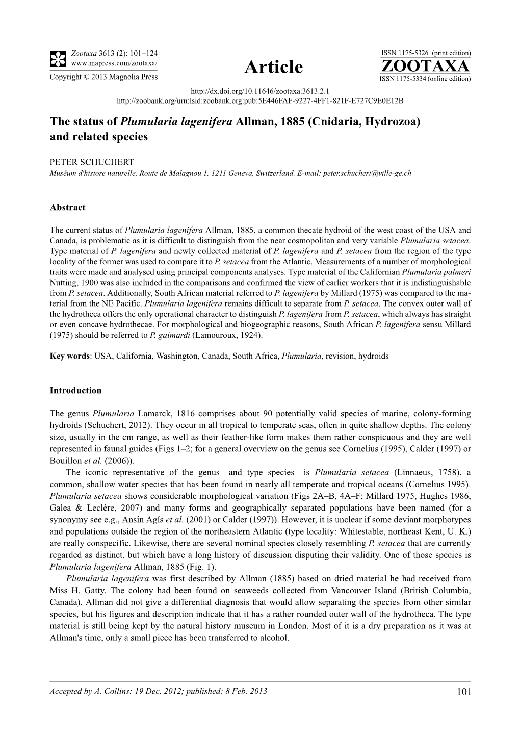 The Status of Plumularia Lagenifera Allman, 1885 (Cnidaria, Hydrozoa) and Related Species