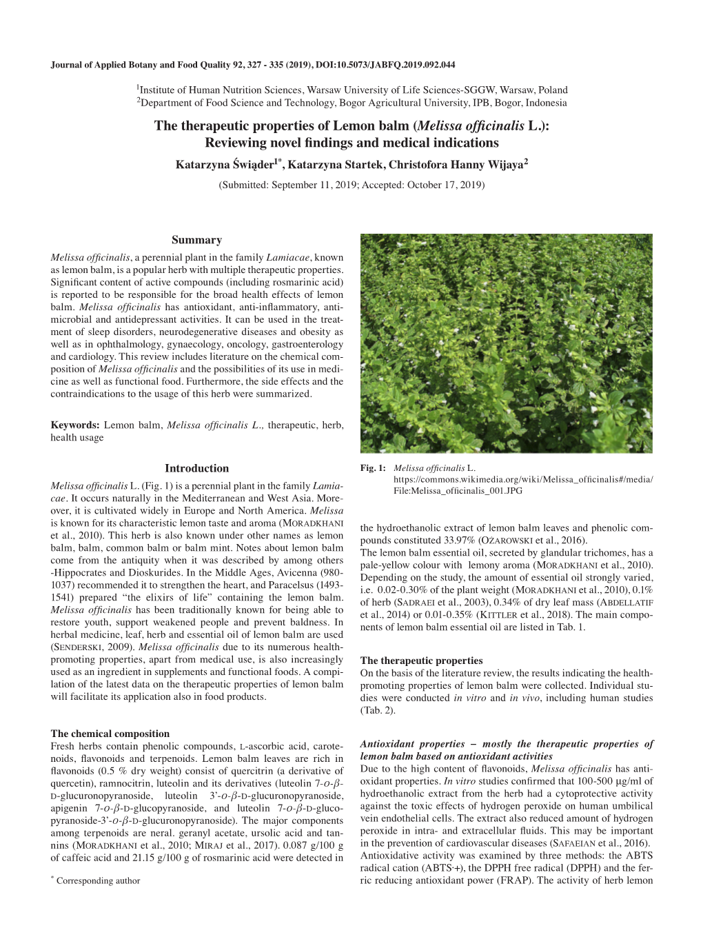 The Therapeutic Properties of Lemon Balm (Melissa Officinalis L