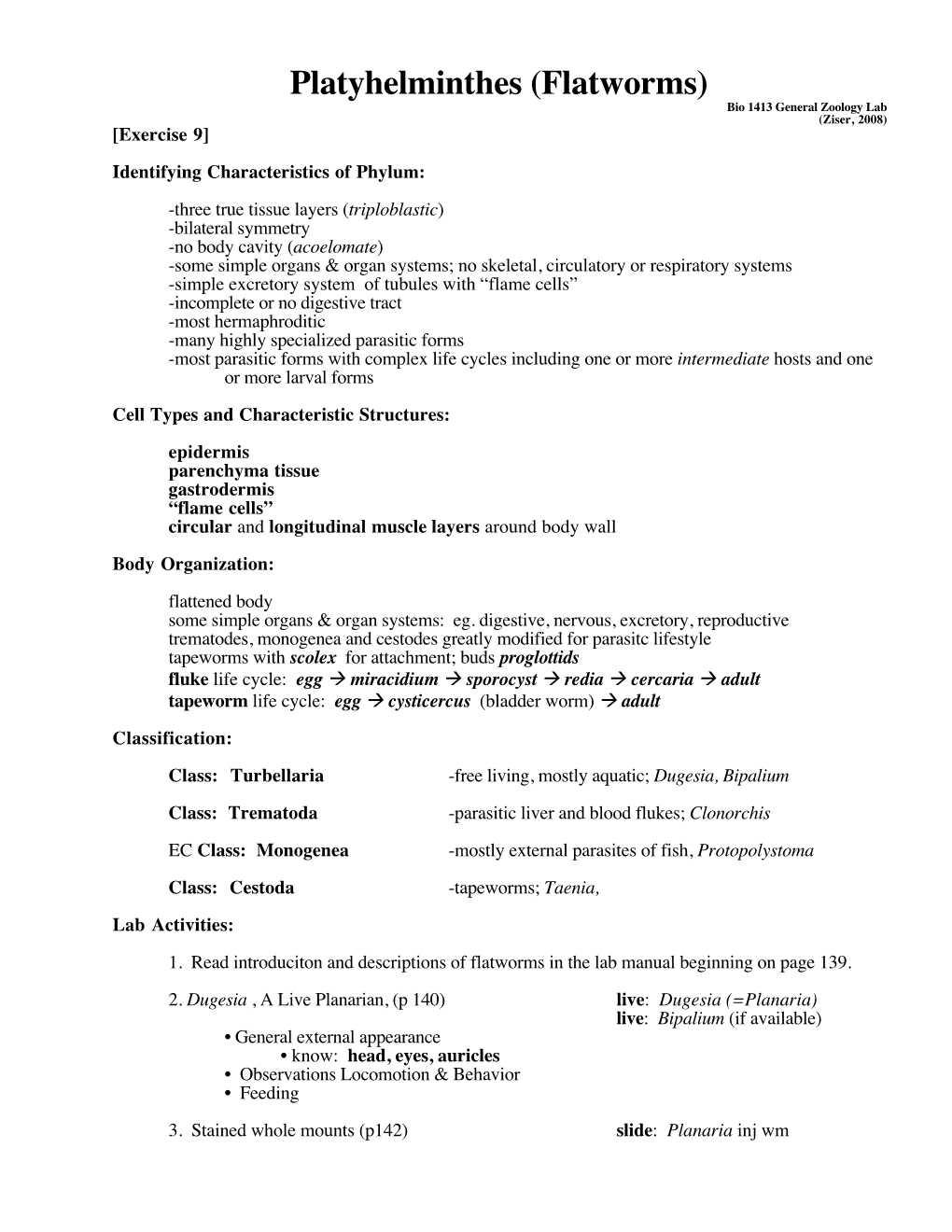 Platyhelminthes (Flatworms)