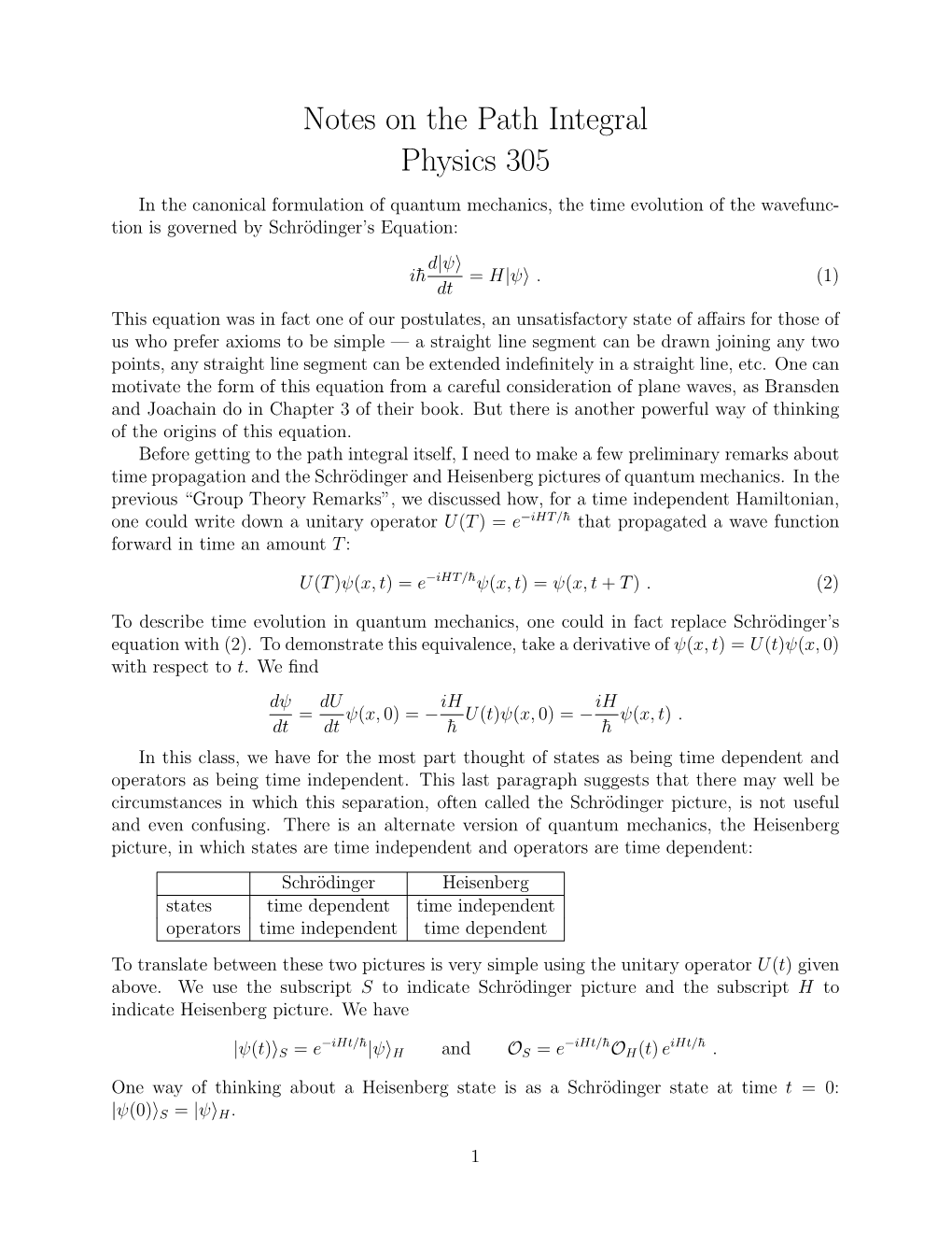 Notes on the Path Integral Physics 305