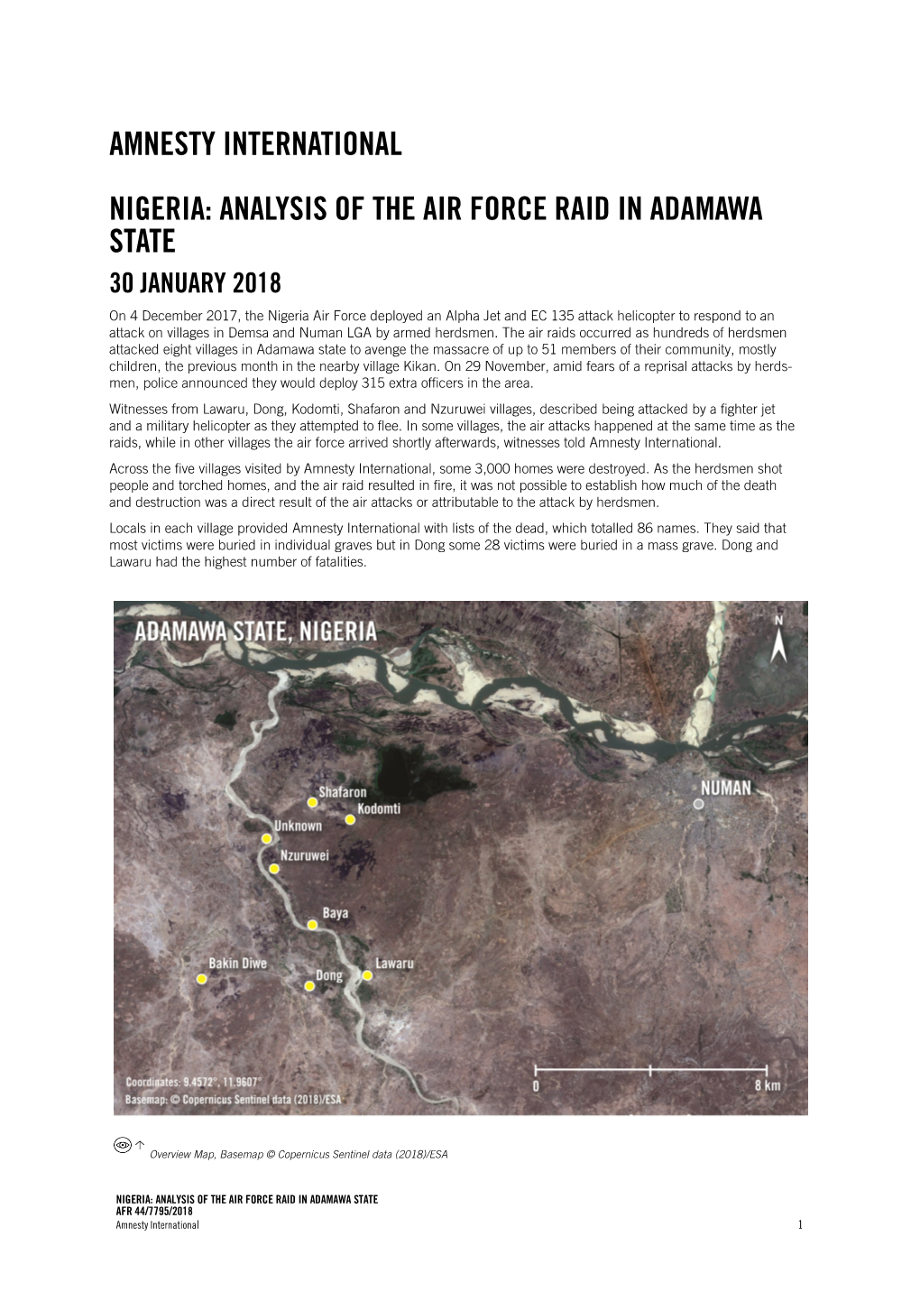 Amnesty International Nigeria: Analysis of the Air Force Raid in Adamawa State