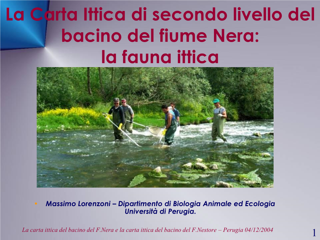 La Carta Ittica Di Secondo Livello Del Bacino Del Fiume Nera: La Fauna Ittica